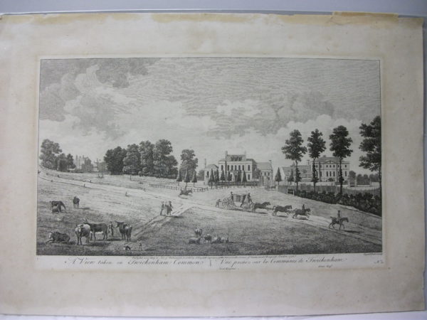 A view taken on Twickenham Common