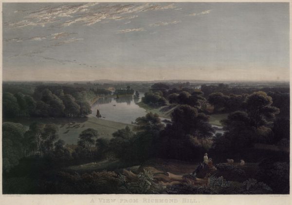 A View from Richmond Hill