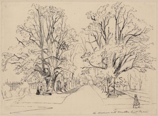 The Hornbeam Walk at Hampton Court