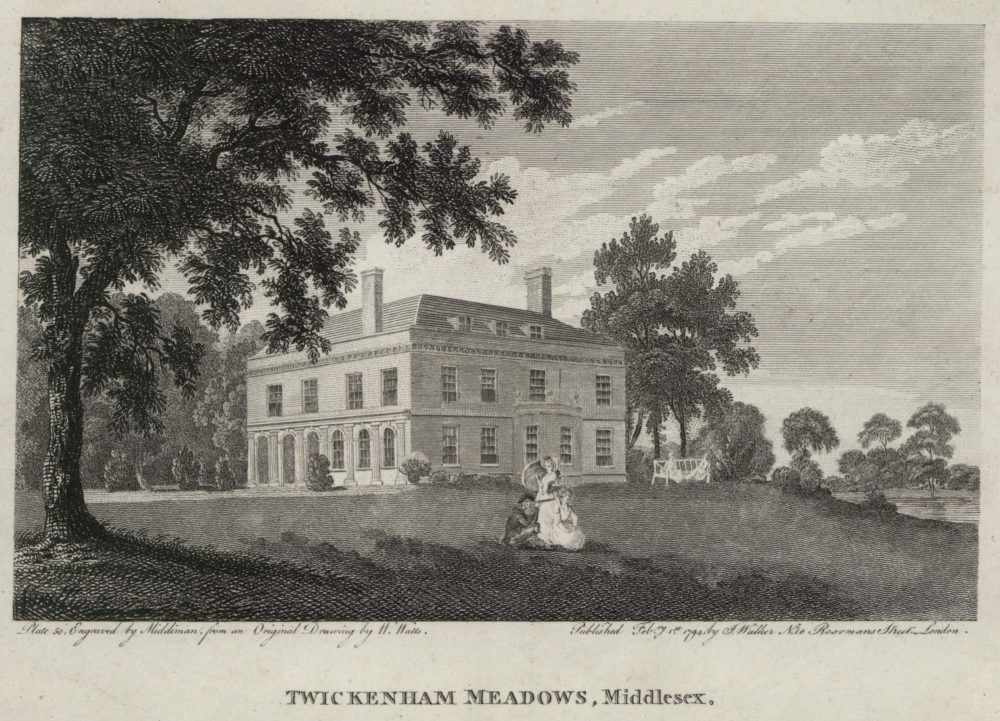 Twickenham Meadows Middlesex