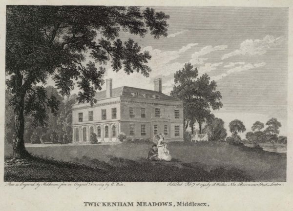 Twickenham Meadows Middlesex