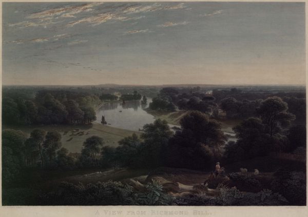 A View from Richmond Hill
