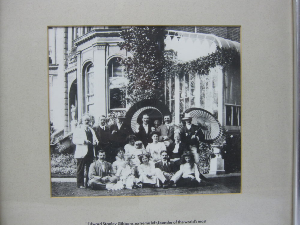 Edward Stanley Gibbons