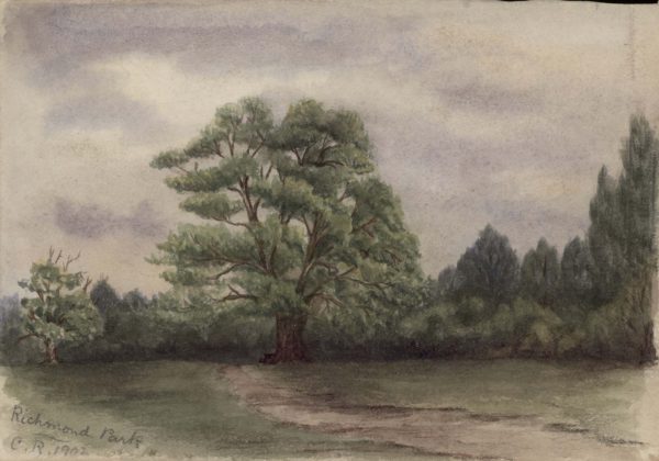 Richmond Park