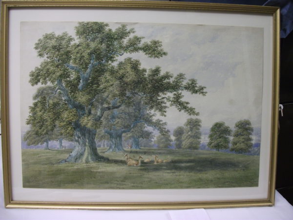 Deer in Richmond Park