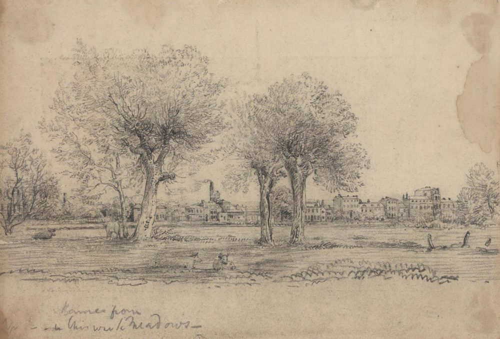 Barnes Terrace from Chiswick Meadows