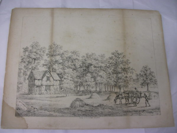 Lodge in Twickenham meadow