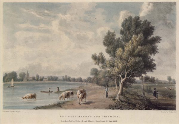 Between Barnes and Chiswick