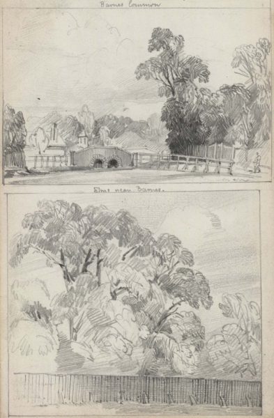 Barnes Common / Elms near Barnes