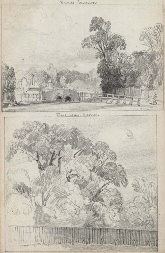 Barnes Common / Elms near Barnes