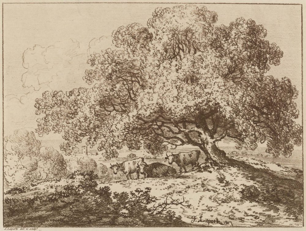 In Richmond Park