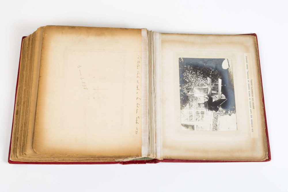 Burtons in the Garden