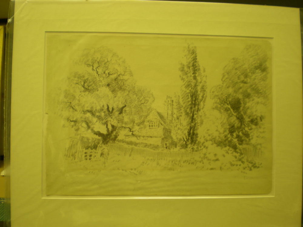 A Corner in Palewell Common