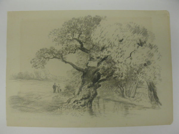 Beverley Brook Palewell Park Surrey