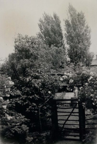 Castelnau Place Garden