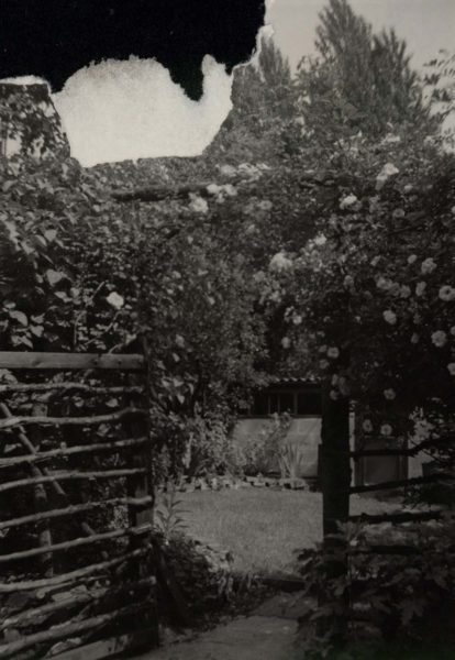 Castelnau Place Garden