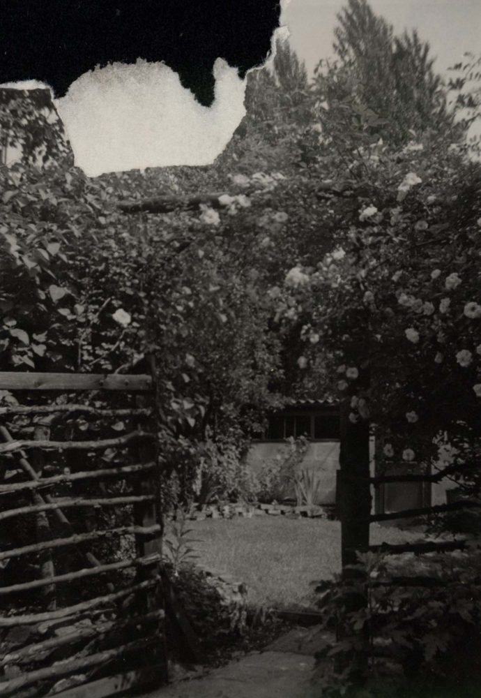 Castelnau Place Garden