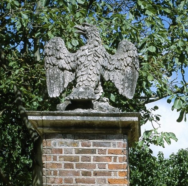 Eagle
