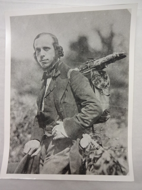 Alfred Walter Williams