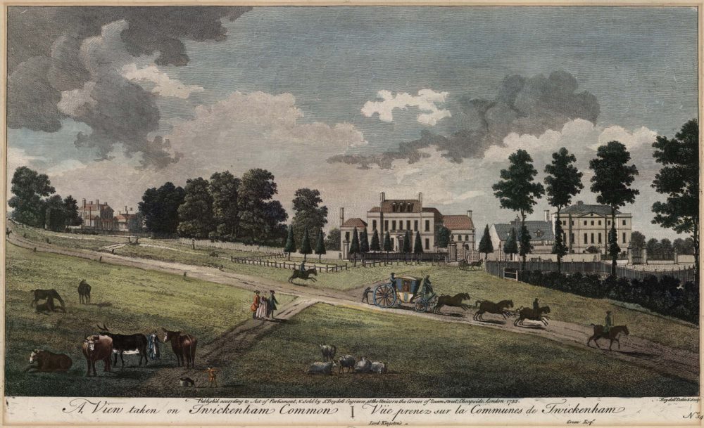 A View taken on Twickenham Common