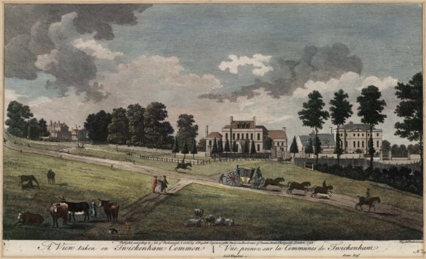 A View taken on Twickenham Common