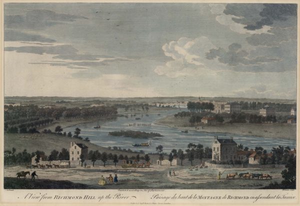 A View from Richmond Hill up the River
