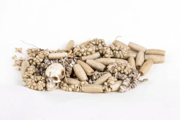‘Collection Curiosities’