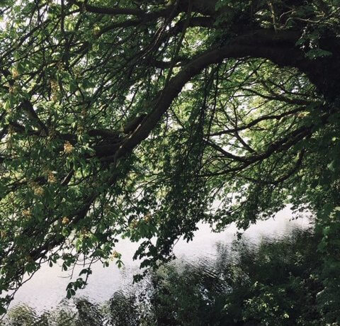 Secret Paths, Hidden Treasures