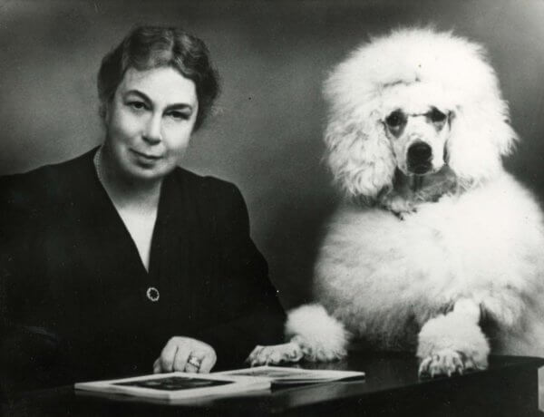 Sunday Afternoon Art – Doodle with Poodle