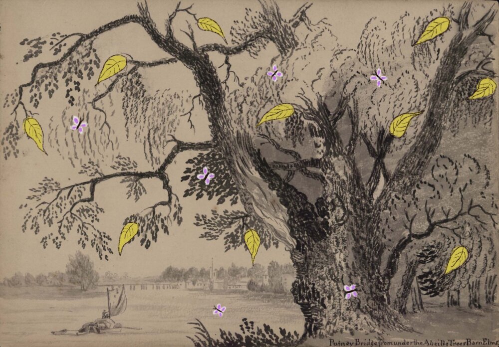 Nattes image with leaves and butterflies drawn over the top.