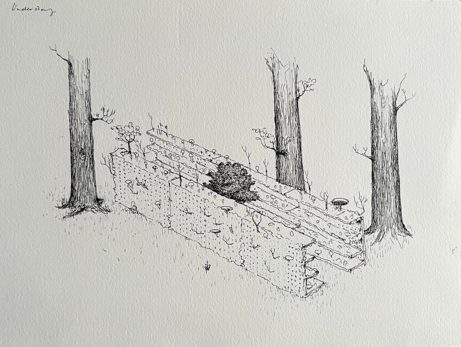 Drawing by Andy Merritt